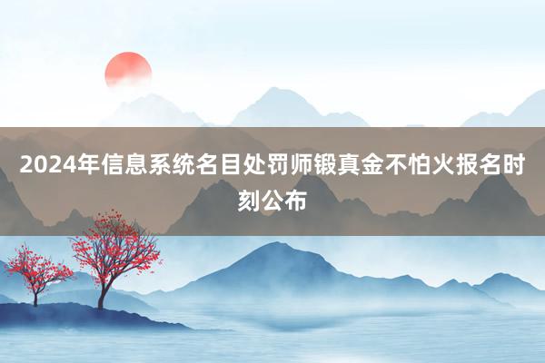 2024年信息系统名目处罚师锻真金不怕火报名时刻公布