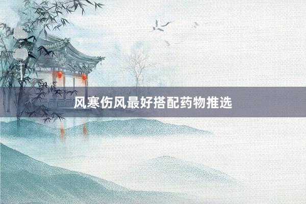 风寒伤风最好搭配药物推选