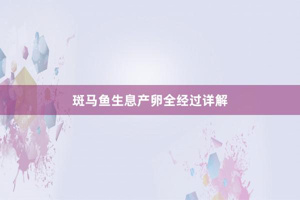 斑马鱼生息产卵全经过详解